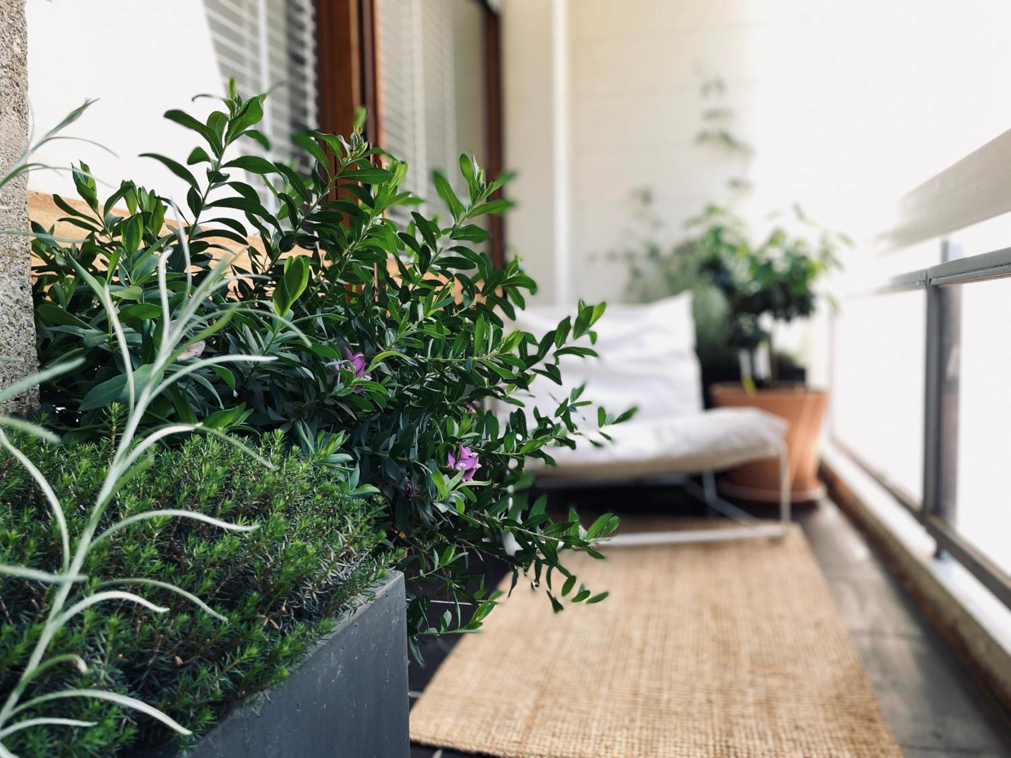 Apartament Design 110M2 2Br Terrace & Parking Near Center Aix-en-Provence Zewnętrze zdjęcie